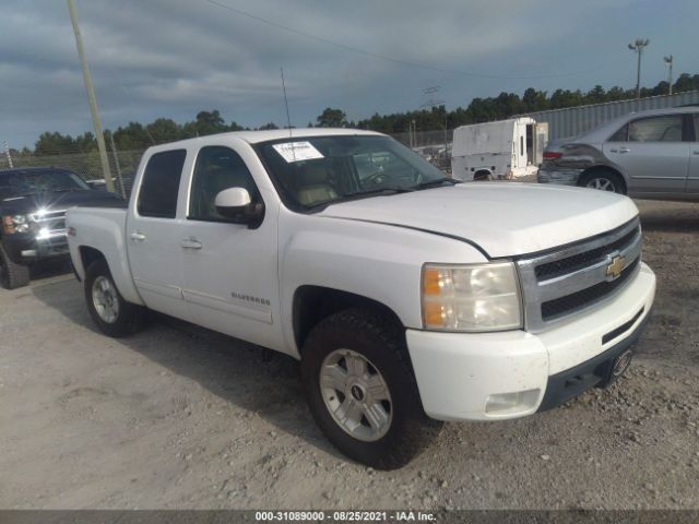 CHEVROLET SILVERADO 1500 2011 3gcpkte38bg122049