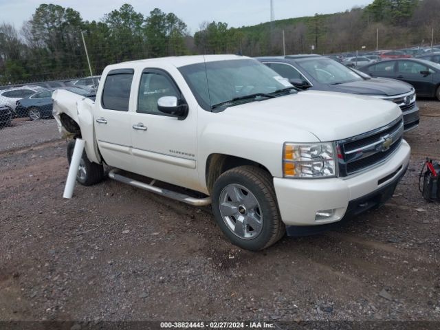 CHEVROLET SILVERADO 1500 2011 3gcpkte38bg165564