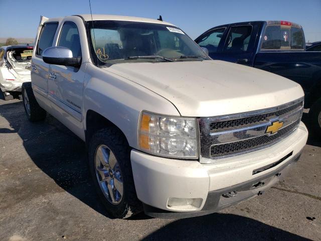 CHEVROLET SILVERADO 2011 3gcpkte39bg225092