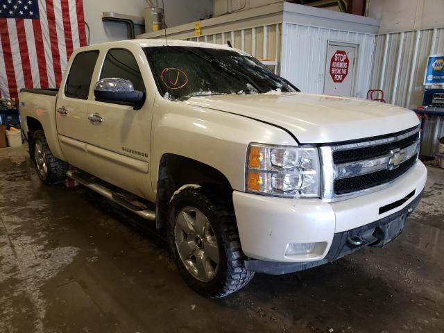 CHEVROLET SILVERADO 2011 3gcpkte39bg230695