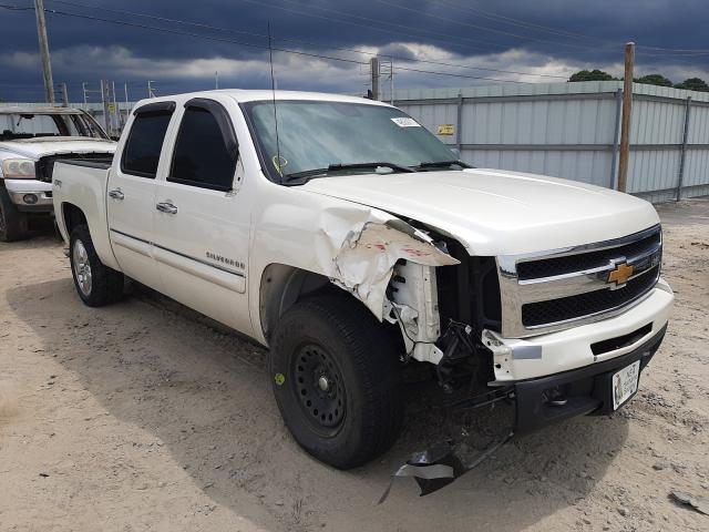 CHEVROLET SILVERADO 2011 3gcpkte3xbg229247