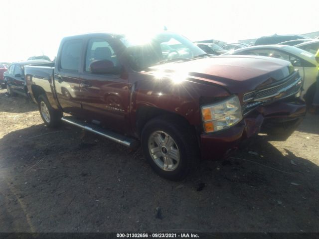 CHEVROLET SILVERADO 1500 2013 3gcpkte74dg114150