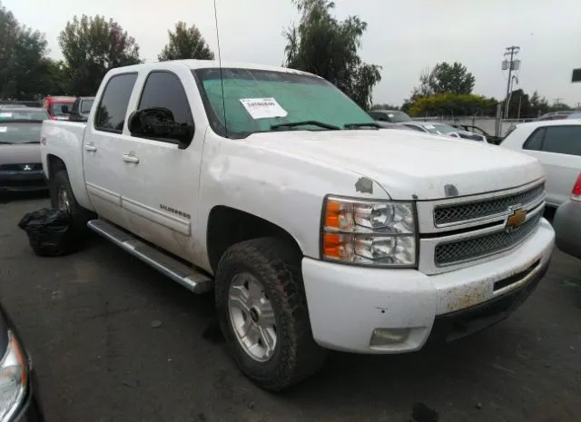 CHEVROLET SILVERADO 1500 2013 3gcpkte74dg270379