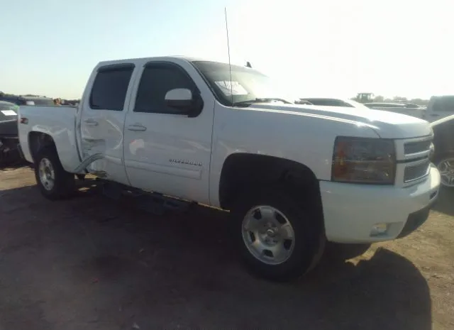 CHEVROLET SILVERADO 1500 2013 3gcpkte76dg308386