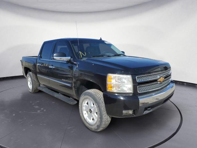 CHEVROLET SILVERADO 2013 3gcpkte76dg350430