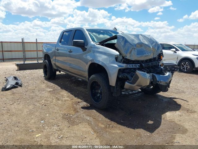 CHEVROLET SILVERADO 2020 3gcpybehxlg118395