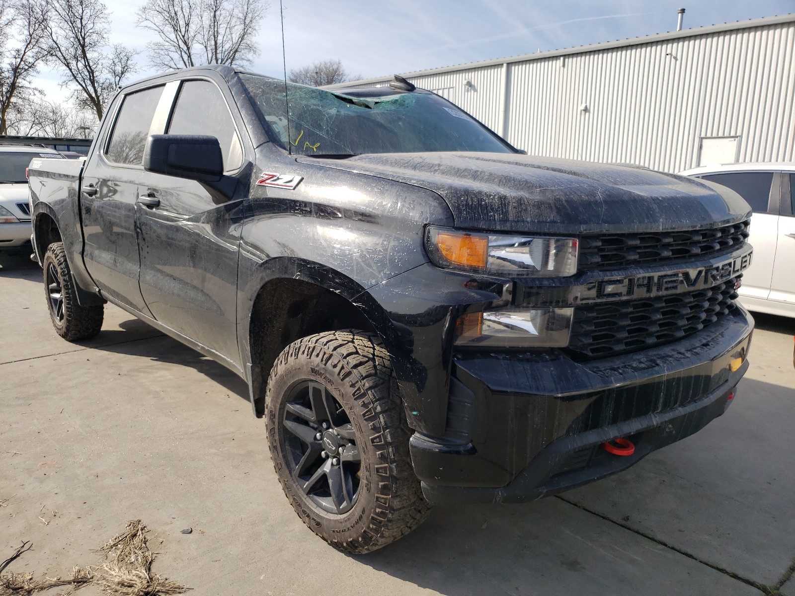 CHEVROLET SILVERADO 2020 3gcpycef6lg120505