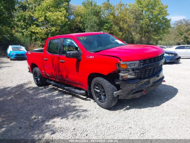 CHEVROLET SILVERADO 2020 3gcpycef6lg169316