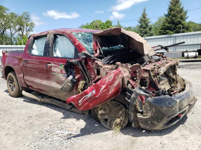 CHEVROLET SILVERADO 2020 3gcpyfed2lg280395