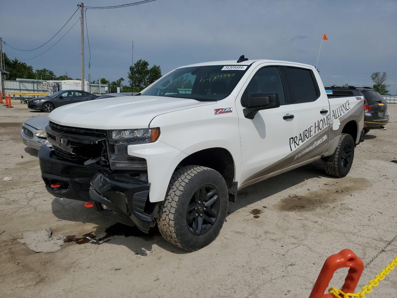 CHEVROLET SILVERADO 2019 3gcpyfed3kg137311