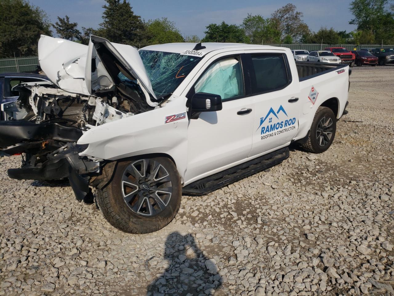 CHEVROLET SILVERADO 2020 3gcpyfed8lg270034