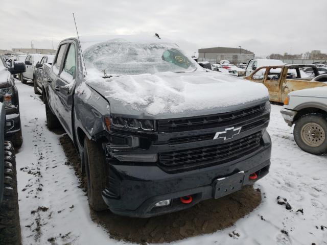 CHEVROLET SILVERADO 2020 3gcpyfel2lg314956