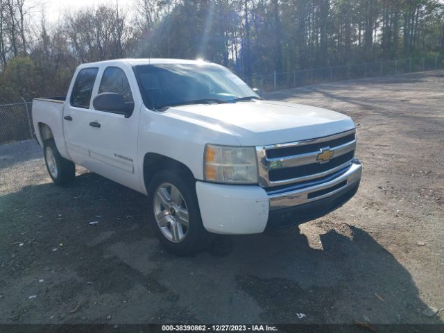 CHEVROLET SILVERADO 1500 2010 3gcrcrea1ag200452