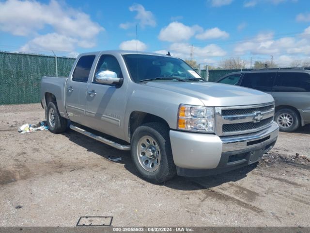 CHEVROLET SILVERADO 1500 2010 3gcrcrea3ag172704