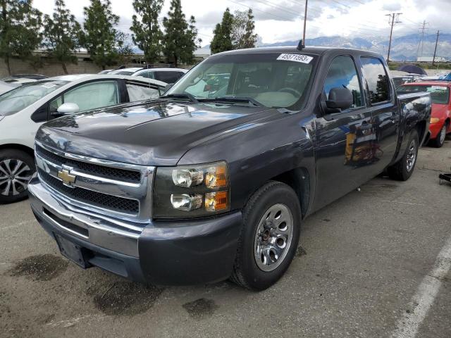 CHEVROLET 1500 2010 3gcrcrea3ag255467