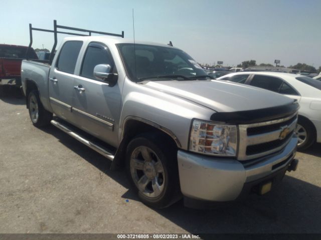 CHEVROLET SILVERADO 1500 2010 3gcrcrea4ag135337