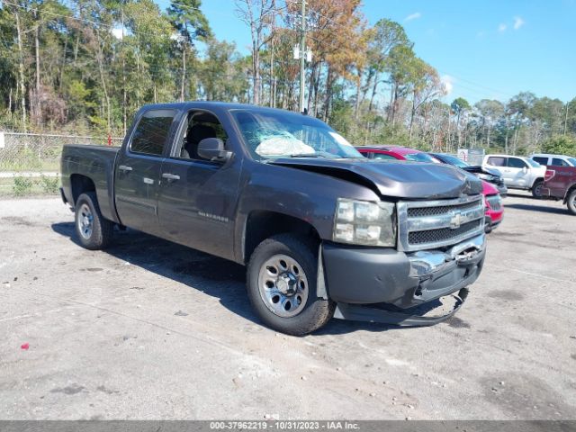 CHEVROLET SILVERADO 1500 2010 3gcrcrea4ag186546