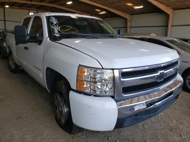 CHEVROLET SILVERADO 2010 3gcrcrea6ag251025