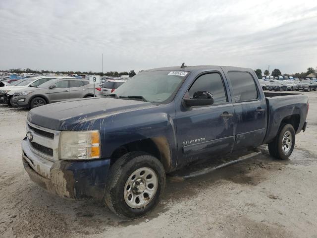 CHEVROLET SILVERADO 2010 3gcrcrea9ag144342