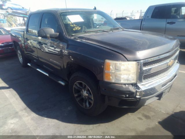 CHEVROLET SILVERADO 1500 2010 3gcrcrea9ag300038