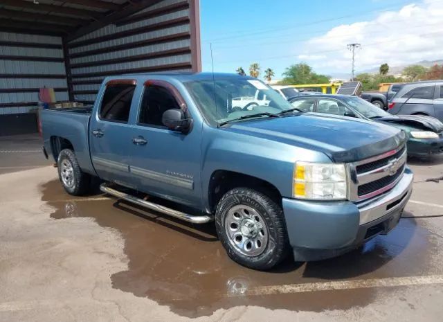 CHEVROLET SILVERADO 1500 2010 3gcrcreaxag193307