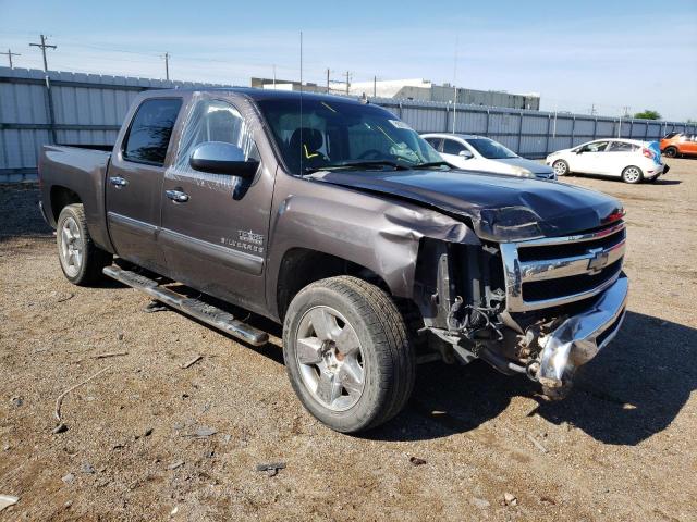 CHEVROLET SILVERADO 2010 3gcrcse00ag150268