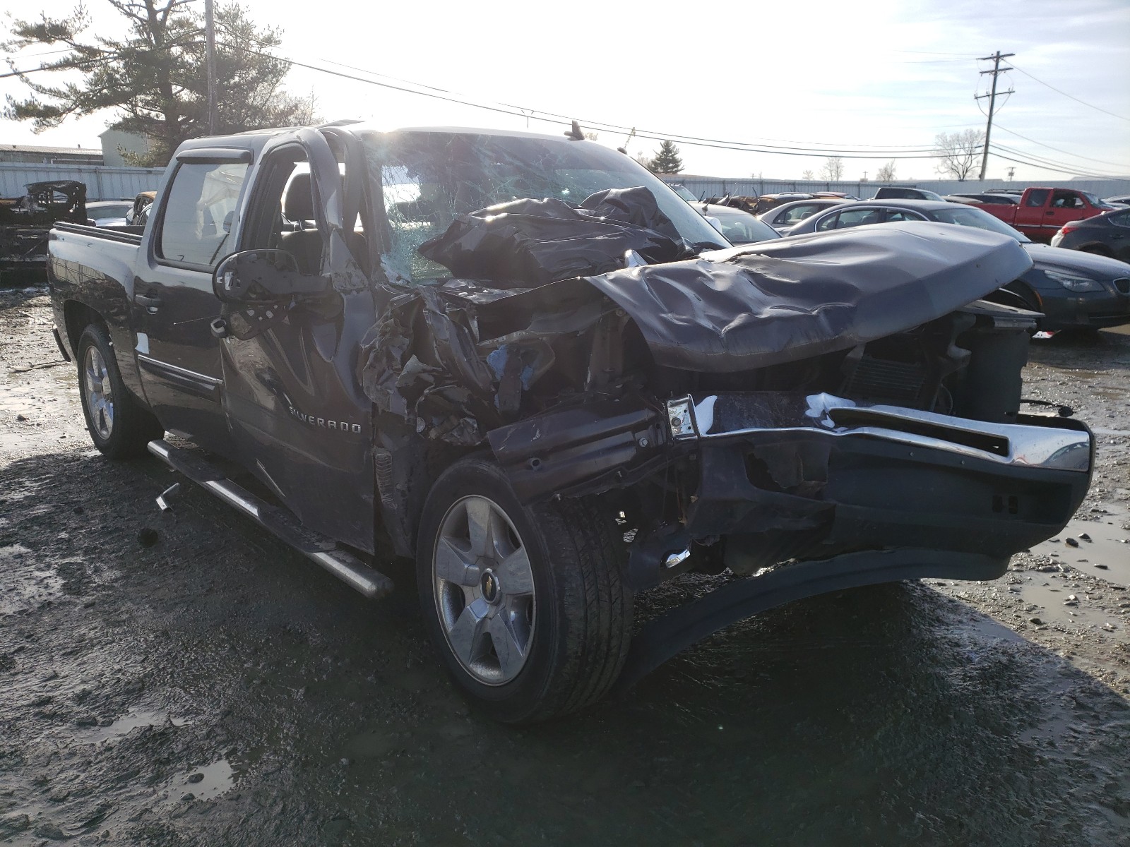 CHEVROLET SILVERADO 2010 3gcrcse00ag160170