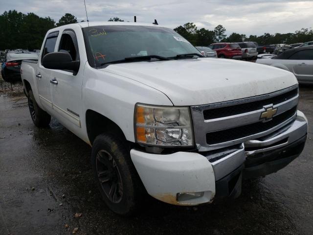 CHEVROLET SILVERADO 2010 3gcrcse00ag176319