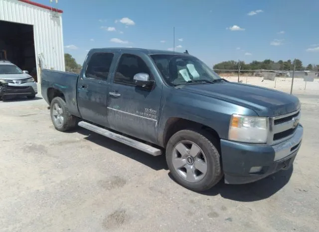 CHEVROLET SILVERADO 1500 2010 3gcrcse00ag212199