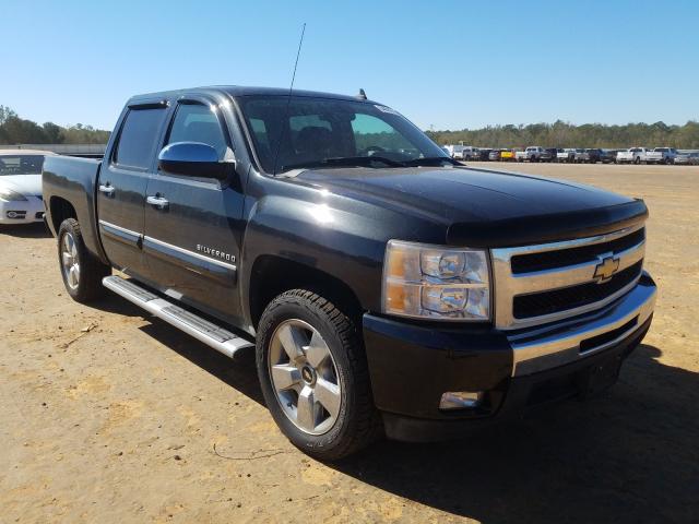 CHEVROLET SILVERADO 1500 2010 3gcrcse00ag215295