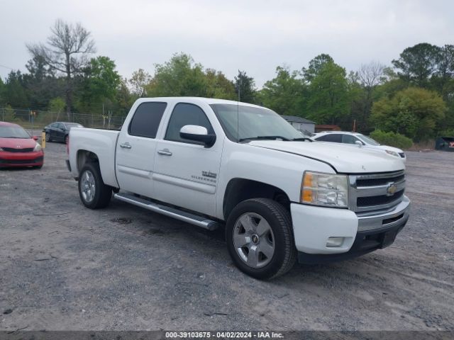 CHEVROLET SILVERADO 1500 2010 3gcrcse01ag159688