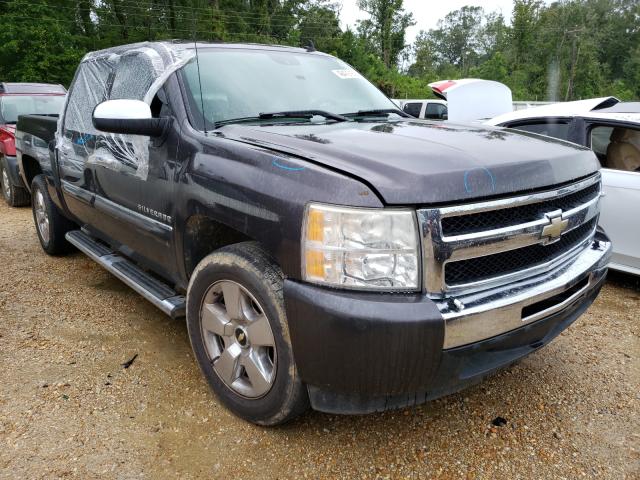 CHEVROLET SILVERADO 2010 3gcrcse01ag163711