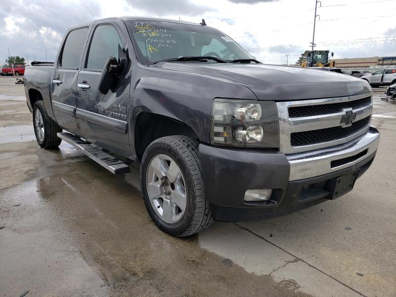 CHEVROLET SILVERADO 2010 3gcrcse01ag170027