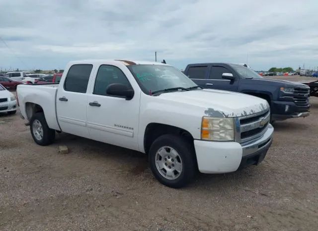 CHEVROLET SILVERADO 1500 2010 3gcrcse01ag179942