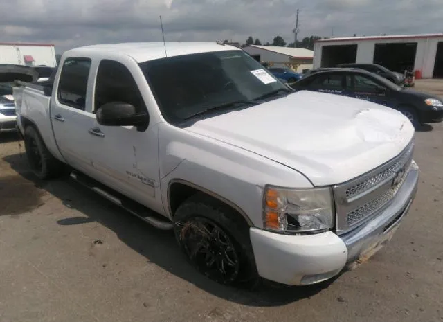 CHEVROLET SILVERADO 1500 2010 3gcrcse02ag251232