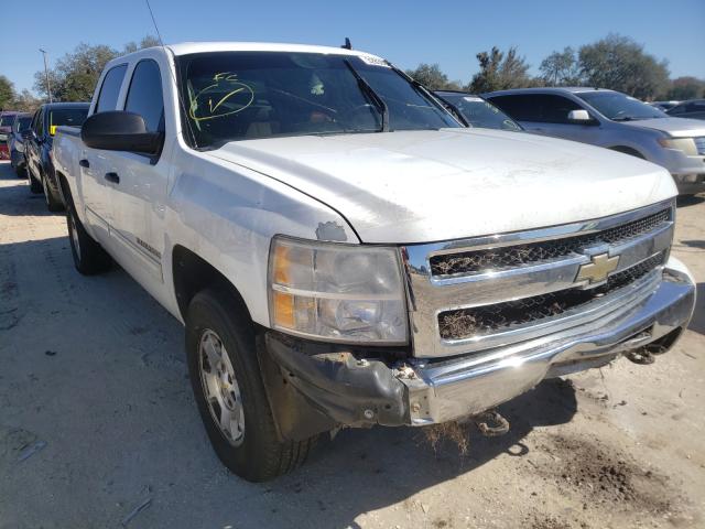 CHEVROLET SILVERADO 2010 3gcrcse03ag126966