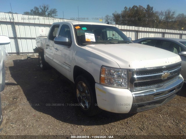 CHEVROLET SILVERADO 1500 2010 3gcrcse03ag146294