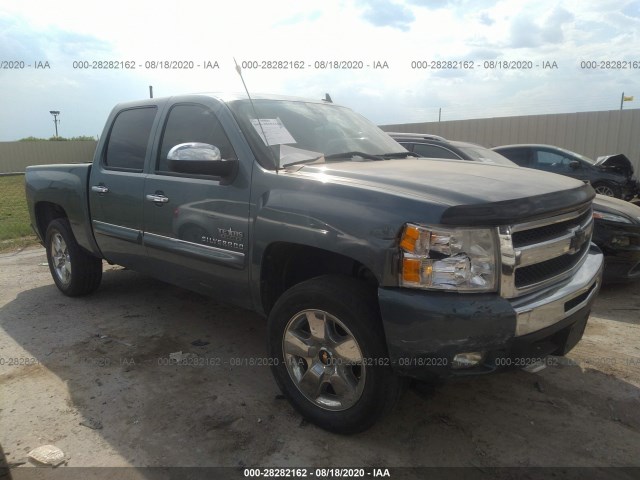 CHEVROLET SILVERADO 1500 2010 3gcrcse03ag267505