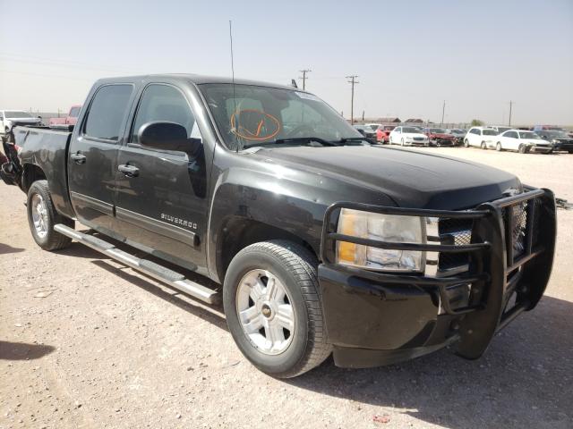 CHEVROLET SILVERADO 2010 3gcrcse04ag259350