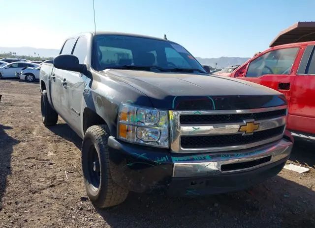 CHEVROLET SILVERADO 1500 2010 3gcrcse05ag186814