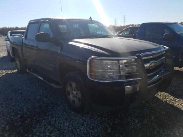 CHEVROLET SILVERADO 2010 3gcrcse05ag201179