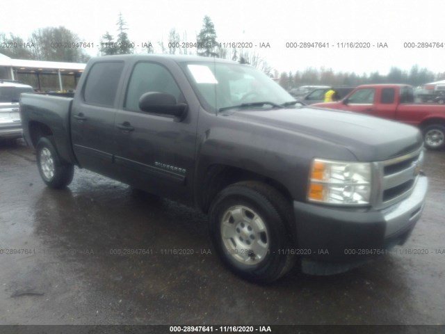 CHEVROLET SILVERADO 1500 2010 3gcrcse05ag253458