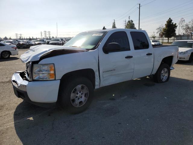 CHEVROLET SILVERADO 2010 3gcrcse05ag296388