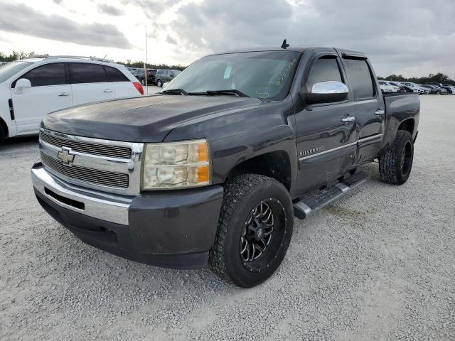 CHEVROLET SILVERADO 2010 3gcrcse06ag170105