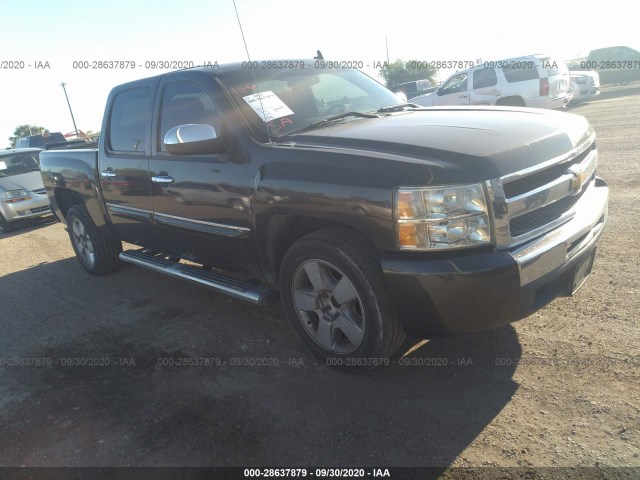 CHEVROLET SILVERADO 1500 2010 3gcrcse06ag174638