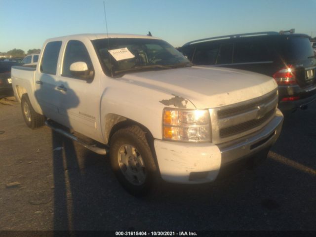 CHEVROLET SILVERADO 1500 2010 3gcrcse07ag113167