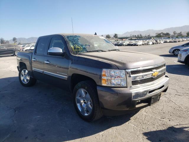 CHEVROLET SILVERADO 2010 3gcrcse08ag130611