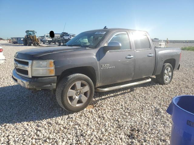 CHEVROLET SILVERADO 2010 3gcrcse09ag145781