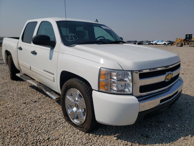 CHEVROLET SILVERADO 2010 3gcrcse09ag255214