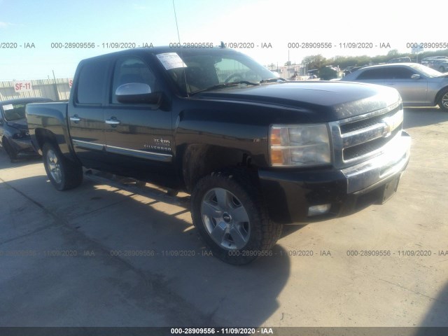 CHEVROLET SILVERADO 1500 2010 3gcrcse0xag111347